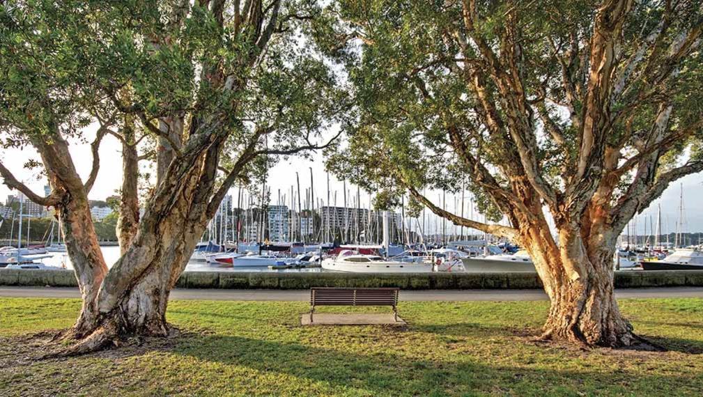 Enormous 4 Bedroom Paddington Family * Sydney